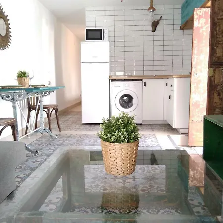 Conil Homes Iii Apartamento *