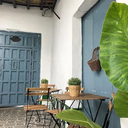 Conil Homes Iii Apartamento *